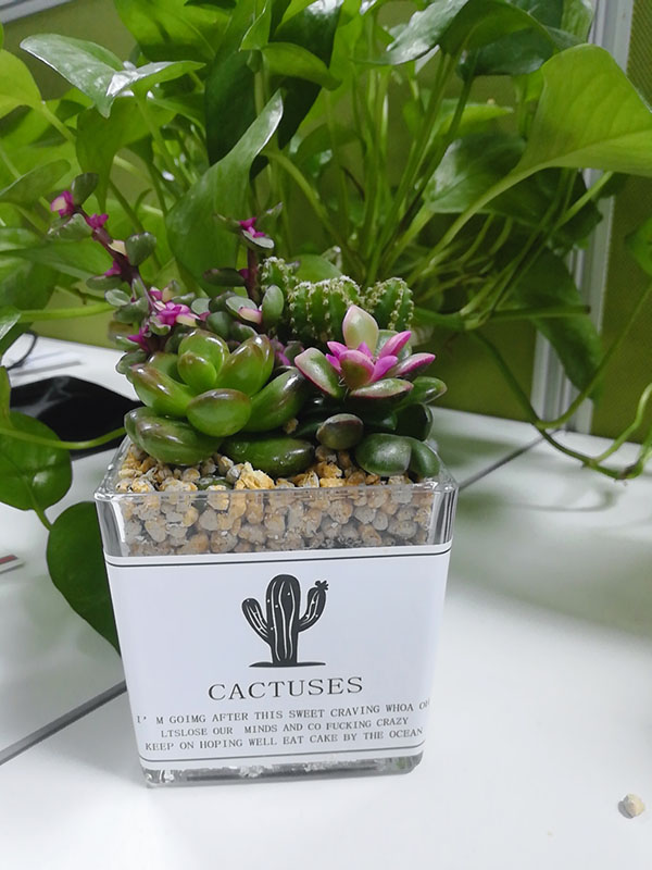 女神節禮品 女神節禮品